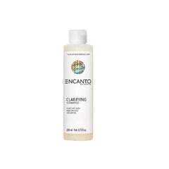 Encanto puhastav šampoon, 200 ml hind ja info | Šampoonid | hansapost.ee