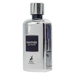 Parfüüm Maison Alhambra Panther Pour Homme EDP meestele, 100 ml hind ja info | Parfüümid meestele | hansapost.ee