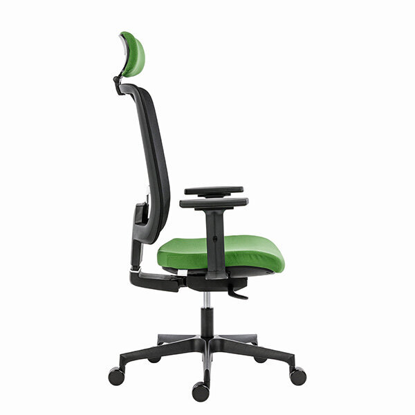 Ergonoomiline kontoritool Powerton Lucie, roheline hind ja info | Kontoritoolid | hansapost.ee