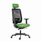 Ergonoomiline kontoritool Powerton Lucie, roheline hind ja info | Kontoritoolid | hansapost.ee