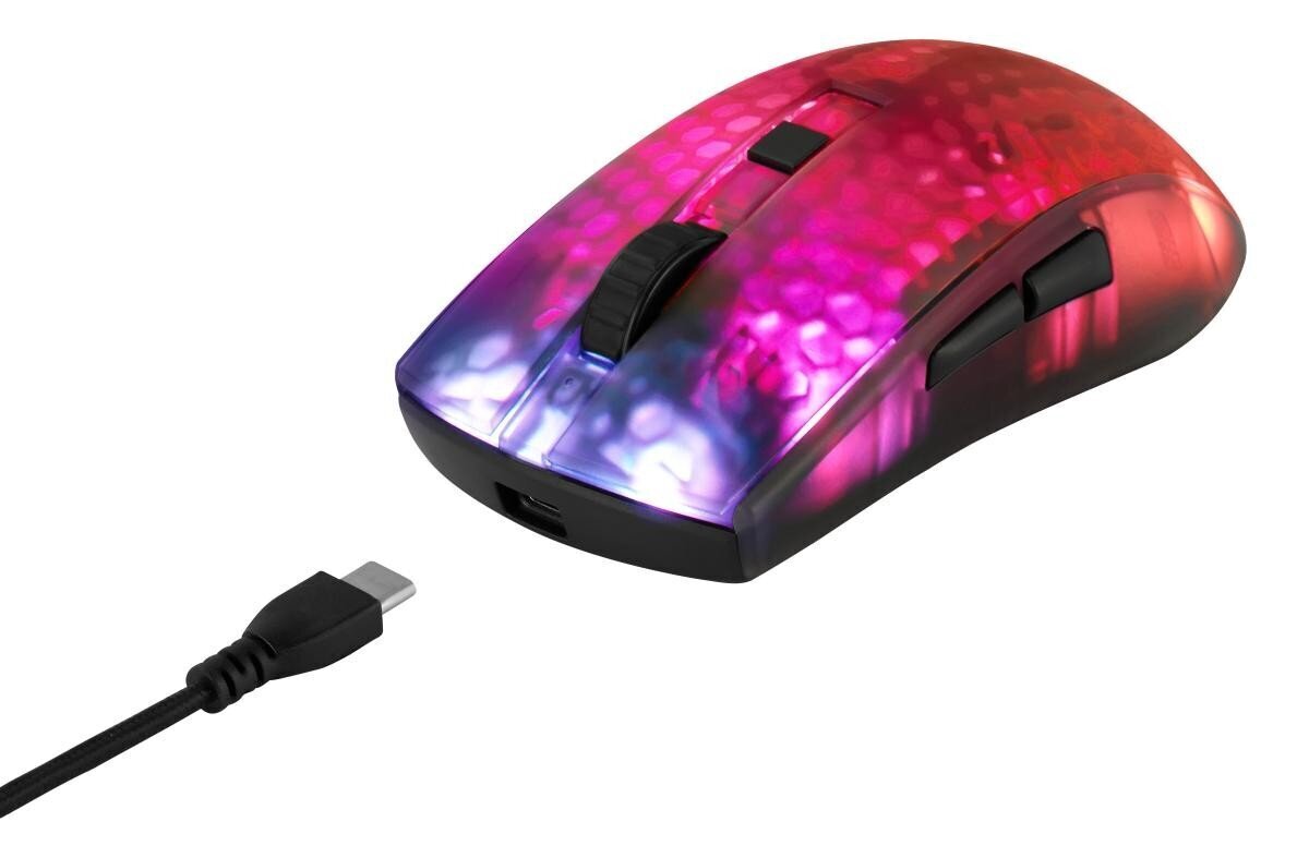 Deltaco Gaming DM320 RGB 10 000 DPI цена и информация | Arvutihiired | hansapost.ee