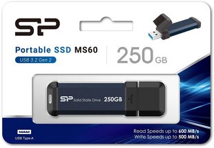 Silicon Power SP250GBUF3S60VPB цена и информация | Жесткий диск Seagate ST1000VX005 | hansapost.ee