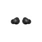 Beats Solo Buds Matte Black MUVW3ZM/A цена и информация | Kõrvaklapid | hansapost.ee