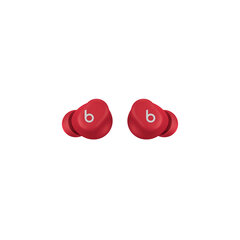 Beats Solo Buds MUW03ZM/A цена и информация | Наушники Спортивные Наушники Для Бизнеса Тренажерный Зал Плавание Бег Черный | hansapost.ee