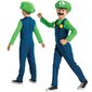 Karnevali kostüüm Super Mario Luigi 109-126 cm 4-6 aastane hind ja info | Kostüümid ja maskid | hansapost.ee