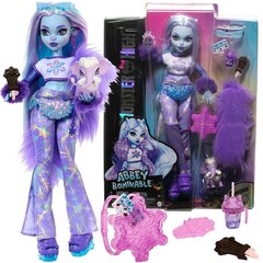 Suur nukk Monster High Abbey Bominable 30 cm + tarvikud lemmikloomad цена и информация | Игрушки для девочек | hansapost.ee