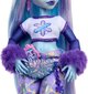 Suur nukk Monster High Abbey Bominable 30 cm + tarvikud lemmikloomad цена и информация | Mänguasjad tüdrukutele | hansapost.ee