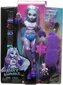 Suur nukk Monster High Abbey Bominable 30 cm + tarvikud lemmikloomad hind ja info | Mänguasjad tüdrukutele | hansapost.ee