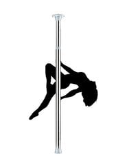 Post Dance Pole hind ja info | BDSM ja fetiš | hansapost.ee