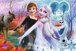 Pusle Trefl XXL Dancing Sisters Frozen 50010, 60 tk цена и информация | Pusled lastele ja täiskasvanutele | hansapost.ee