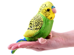 Мягкая игрушка волнистый попугайчик Беппе, 13 см цена и информация |  Мягкие игрушки | hansapost.ee