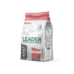 Leader koera täissööt sensitive lõhe keskmine tõug 2kg price and information | Dry dog food and crisps | hansapost.ee