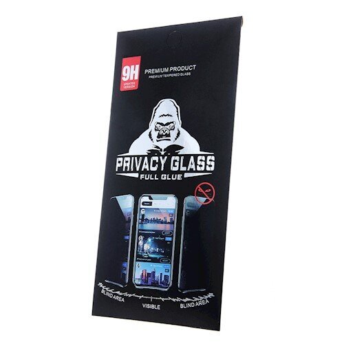 Privacy Glass цена и информация | Ekraani kaitseklaasid ja kaitsekiled | hansapost.ee