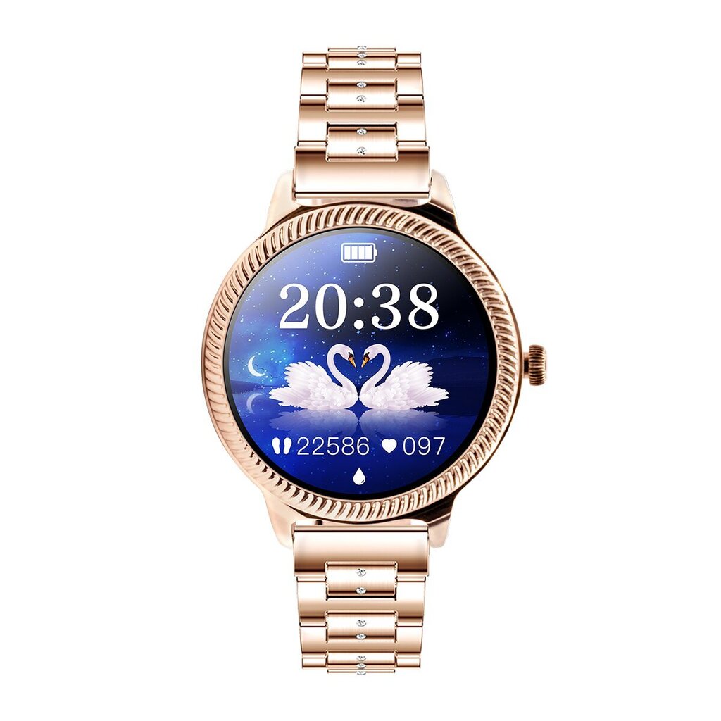 Watchmark Fashion Active Gold hind ja info | Nutikellad, laste nutikellad | hansapost.ee