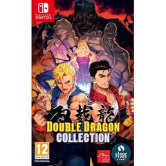 Double Dragon Collection Switch hind ja info | Konsooli- ja arvutimängud | hansapost.ee