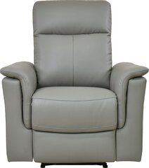 Elektriline tugitool Notio Living Southbrook, hall price and information | Armchairs | hansapost.ee