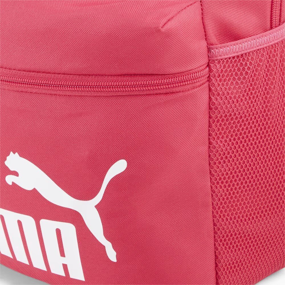 Puma seljakott PHASE (22L), korallroosa hind ja info | Käekotid naistele | hansapost.ee