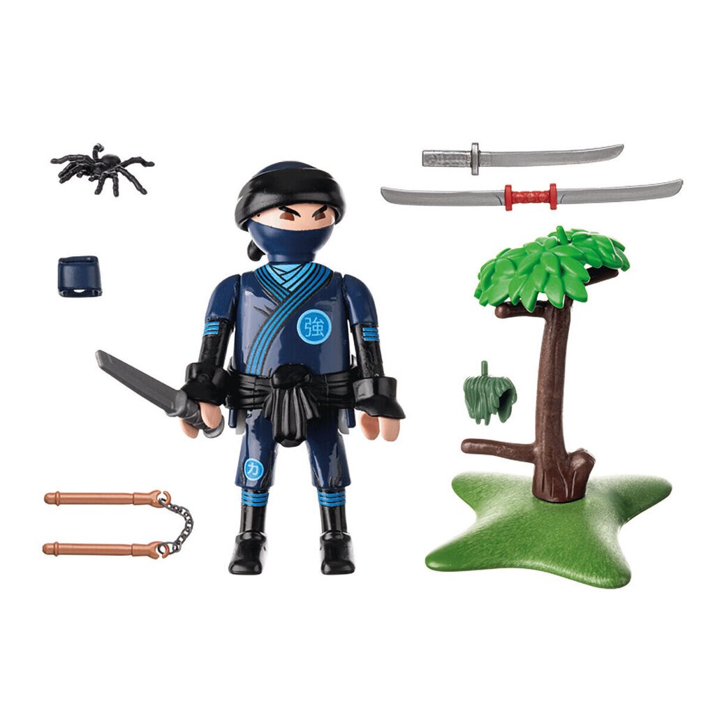 Kujukeste komplekt Playmobil, 15 osa hind ja info | Mänguasjad poistele | hansapost.ee