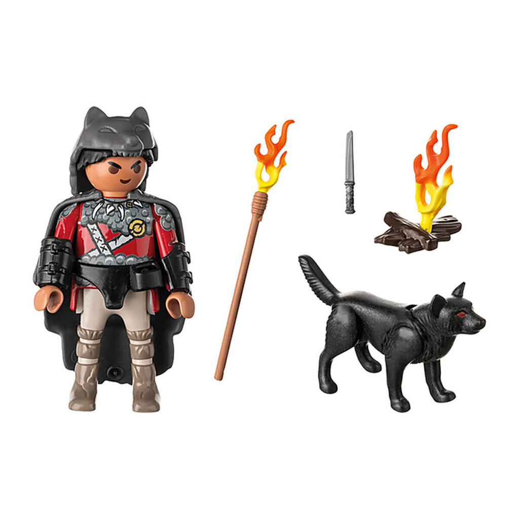 Kujukeste komplekt Playmobil, 12 osa hind ja info | Mänguasjad poistele | hansapost.ee