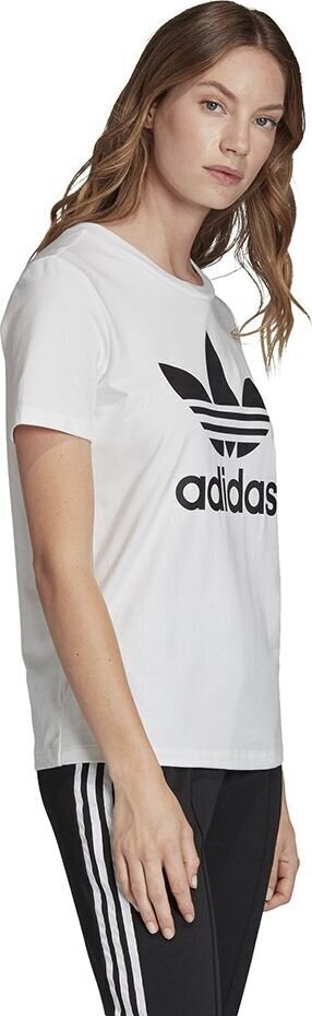 Naiste spordisärl Adidas Trefoil Tee W FM3306, 53266 цена и информация | Spordiriided naistele | hansapost.ee