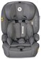 Autotool Lorelli Benevento i-Size Isofix, 15-36 kg, Grey hind ja info | Turvatoolid ja turvahällid | hansapost.ee