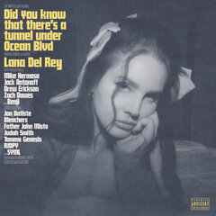 Lana Del Rey - Did You Know That There's A Tunnel Under Ocean Blvd, 2LP, виниловая пластинкаs, 12" vinyl record цена и информация | Виниловые пластинки, CD, DVD | hansapost.ee