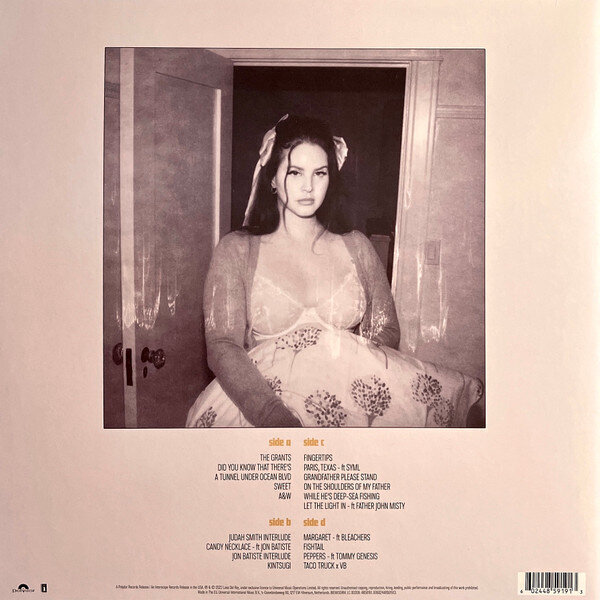 Lana Del Rey - Did You Know That There's A Tunnel Under Ocean Blvd, 2LP, vinüülplaats, 12" vinyl record цена и информация | Vinüülplaadid, CD, DVD | hansapost.ee