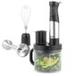 Petra PT5877VDE 5 in 1 Blender Set цена и информация | Hakkijad, saumikserid | hansapost.ee