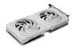 Palit GeForce RTX 4060 Ti White (NE6406T019P1-1048L) hind ja info | Videokaardid | hansapost.ee