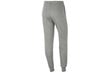 Naiste spordipüksid Nike Wmns Fleece Pants CW6961-063, hall цена и информация | Spordiriided naistele | hansapost.ee