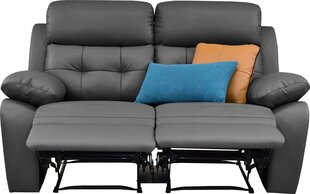 Двухместный диван Loft24 Lannilis, серый цена и информация | Диваны | hansapost.ee