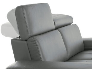 Двухместный диван Loft24 Rayland, серый цена и информация | Диваны | hansapost.ee