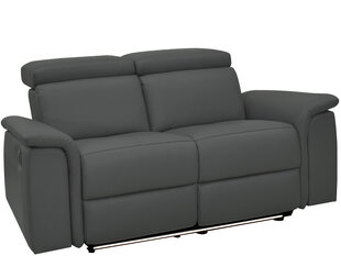 Двухместный диван Loft24 Pareli, серый цена и информация | Диваны | hansapost.ee