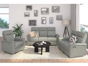 Трехместный диван Loft Southbrook, серый цена и информация | Диваны | hansapost.ee