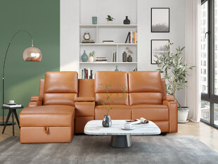 Трехместный диван Loft Dallas, коричневый цена и информация | Диваны | hansapost.ee