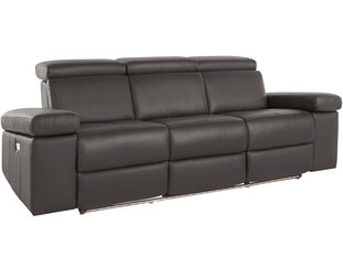 Трехместный диван Loft Rayland, коричневый цена и информация | Диваны | hansapost.ee