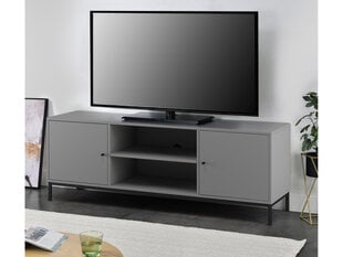 Подставка для ТВ с 2 дверцами и 2 открытыми отделениями Particle Board Grey цена и информация |  Тумбы под телевизор | hansapost.ee