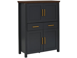 Kummut Notio Living Marion, hall price and information | Chests of drawers | hansapost.ee