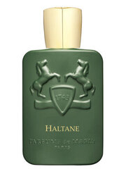 Lõhnavesi Parfums De Marly Haltane EDP meestele, 125 ml hind ja info | Parfüümid meestele | hansapost.ee