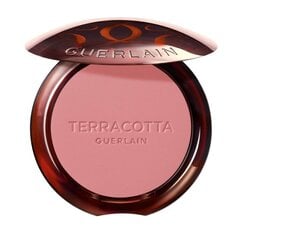 Румяна для лица Guerlain Gier Terracotta Polvos, 24 Blush Rose, 5 г цена и информация | Бронзеры (бронзаторы), румяна | hansapost.ee