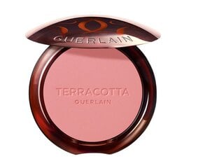 Põsepuna Guerlain Gier Terracotta Polvos, 24 Blush Nude, 5 g hind ja info | Päikesepuudrid ja põsepunad | hansapost.ee