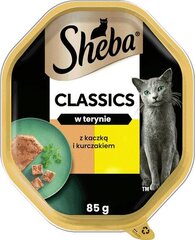 Sheba Classics märgtoit kassidele pardi- ja kanaterriiniga, 22 x 85 g price and information | Kassikonservid | hansapost.ee