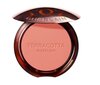 Põsepuna Guerlain Gier Terracotta Polvos, 02 Light Coral, 5 g hind ja info | Päikesepuudrid ja põsepunad | hansapost.ee