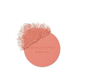 Румяна для лица Guerlain Gier Terracotta Polvos, 02 Light Coral, 5 г цена и информация | Бронзеры (бронзаторы), румяна | hansapost.ee