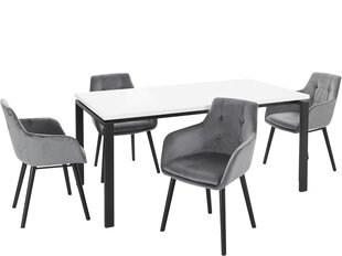 5-частный обеденный комплект Notio Living Sabine &amp; Bradford, серый/белый/черный цена и информация | Комплекты мебели для столовой | hansapost.ee