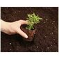 Seemnete idandamise potid, 16 tk, 8cm hind ja info | Lillepotid, taimelavad ja istutuskastid | hansapost.ee