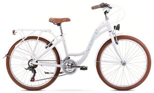 Велосипед детский ROMET Panda 1 (2024) бело-синий цена и информация | Велосипеды | hansapost.ee