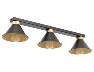 Laevalgusti Detmer price and information | Ceiling lamps | hansapost.ee