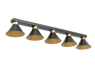 Laevalgusti Detmer price and information | Ceiling lamps | hansapost.ee