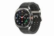 Samsung Galaxy Watch Ultra LTE Titanium Silver L705 цена и информация | Nutikellad, laste nutikellad | hansapost.ee